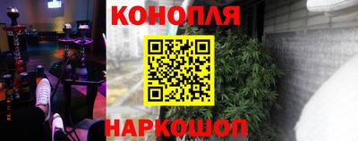 прущие грибы Кунгур